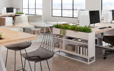 Office: February 2024